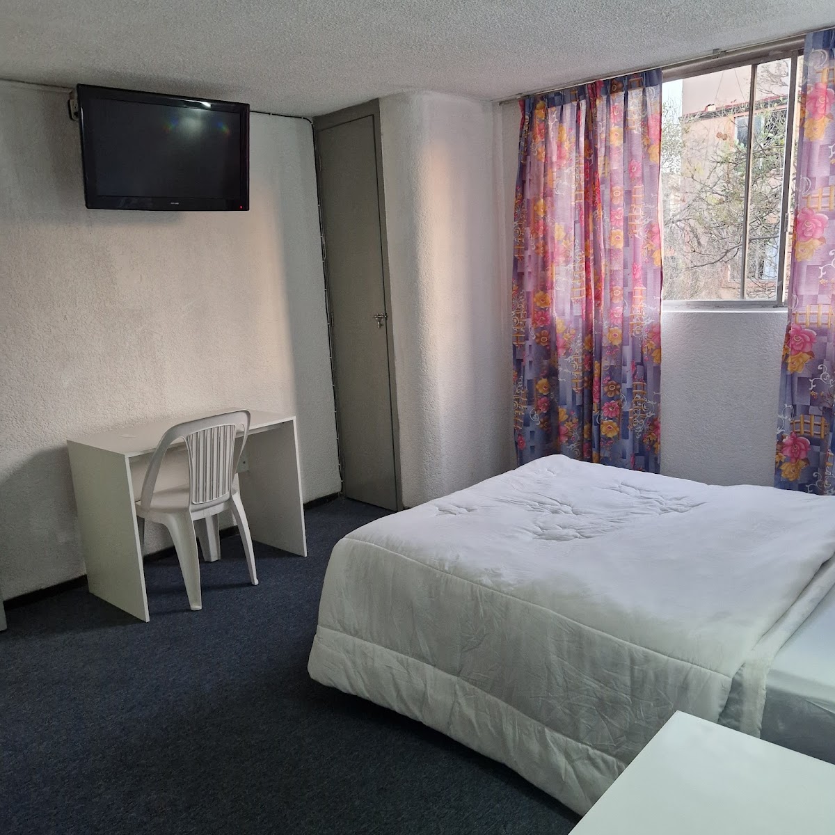 Hotel Polly gallery 7
