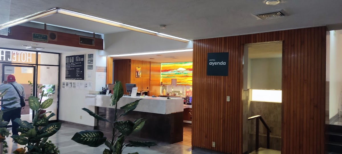 Hotel Hidalgo gallery 4