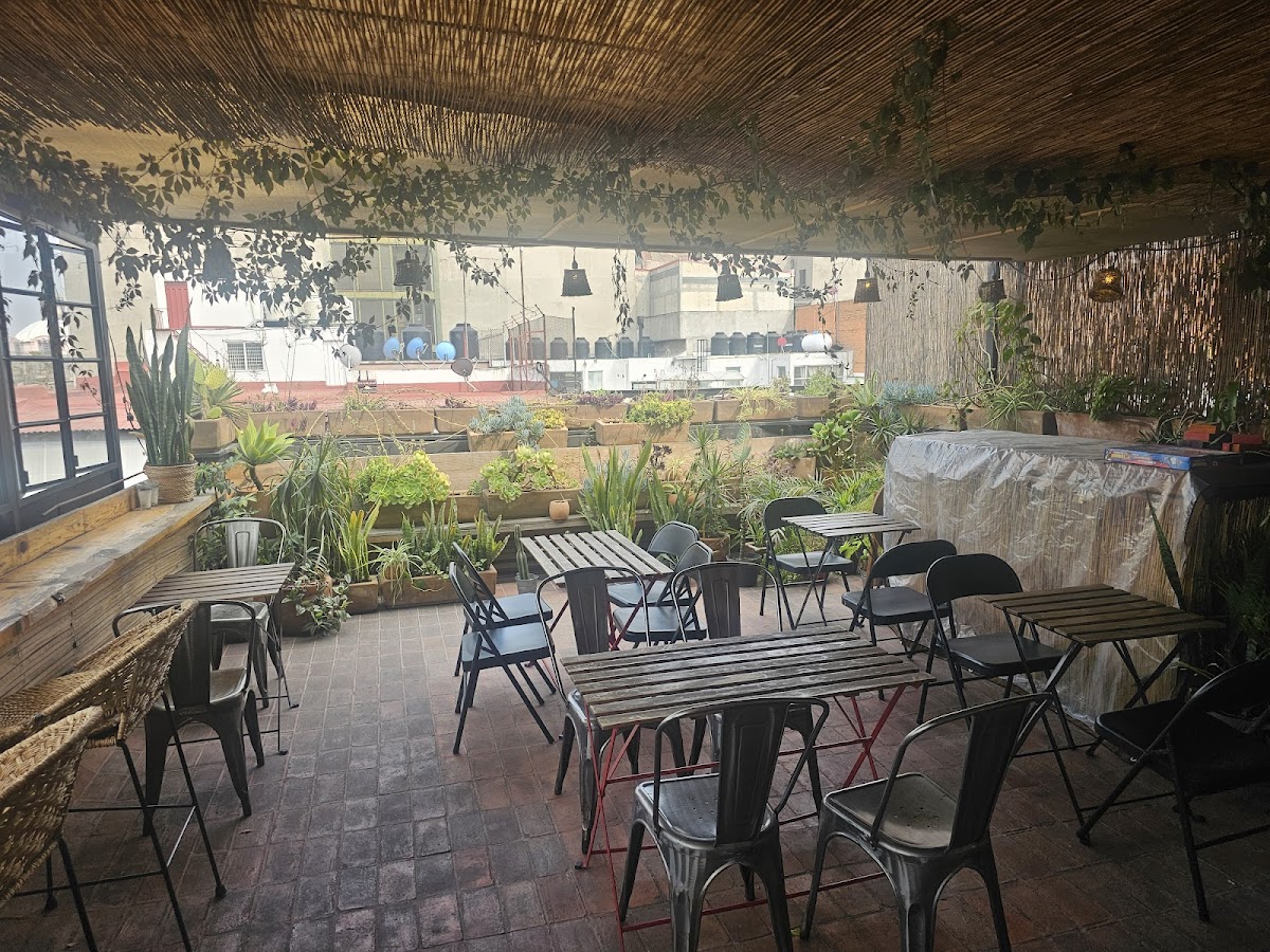 Casa Sabina Down Town Mexico City gallery 7