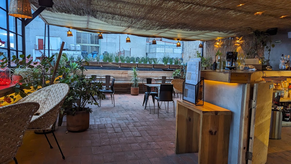 Casa Sabina Down Town Mexico City gallery 8
