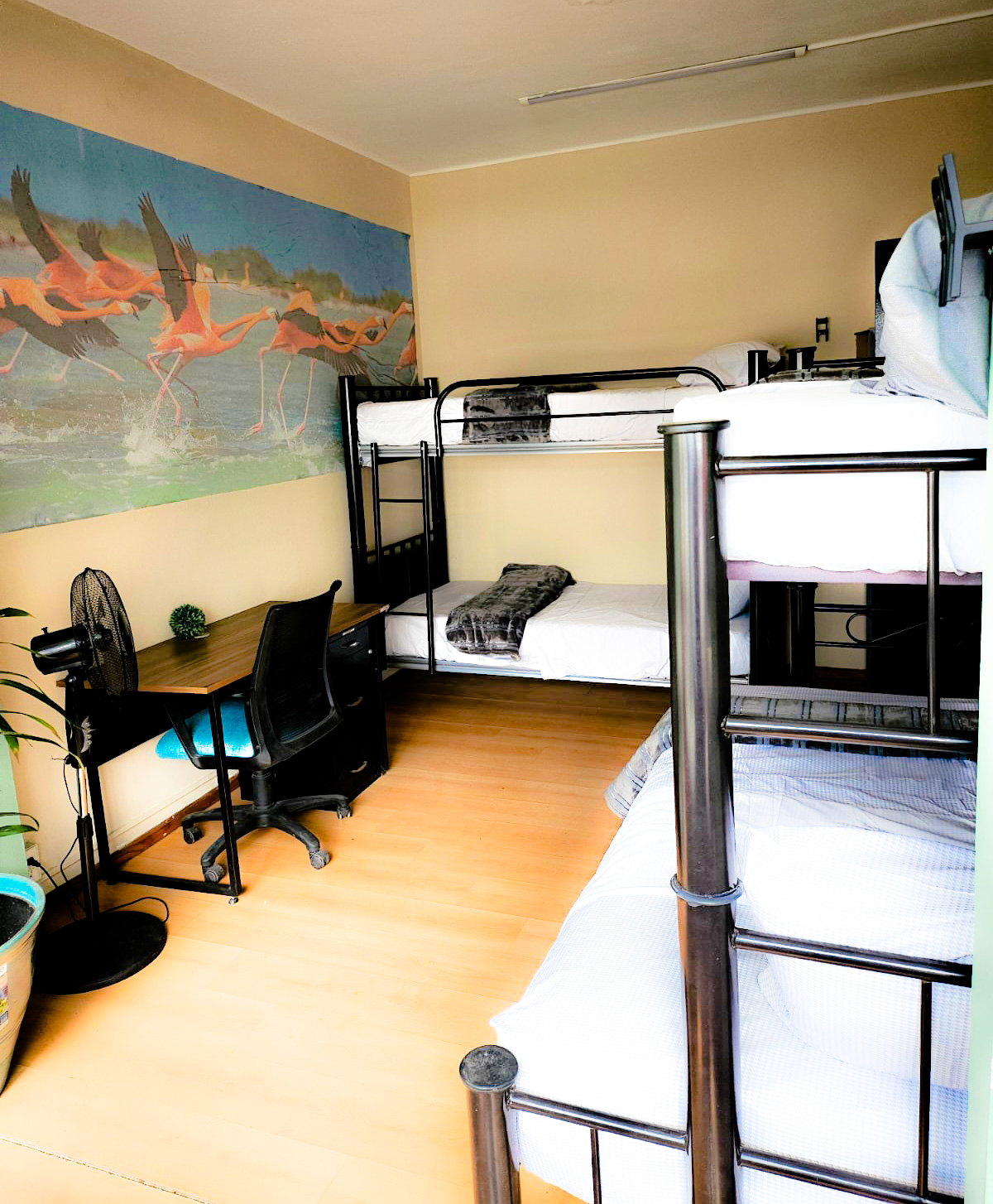Guesthouse del Valle gallery 5