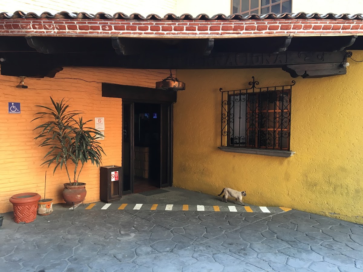 Hotel Playa Internacional gallery 9