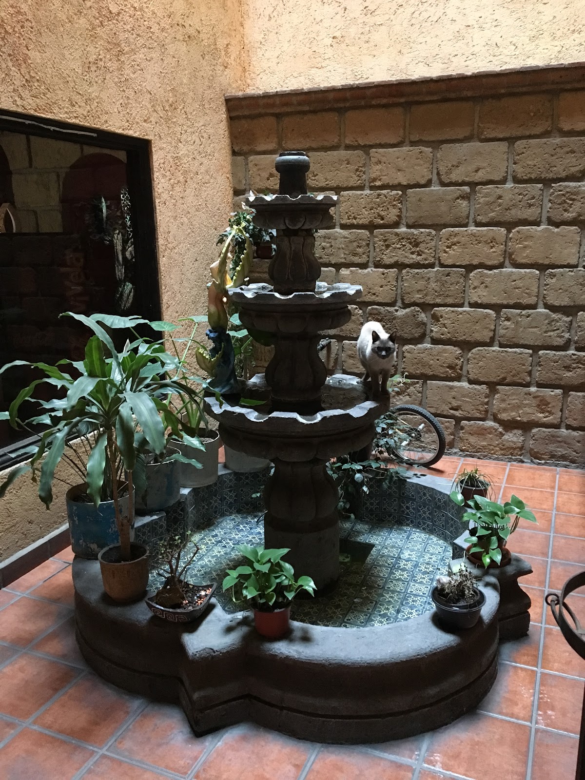 Hotel Playa Internacional gallery 10