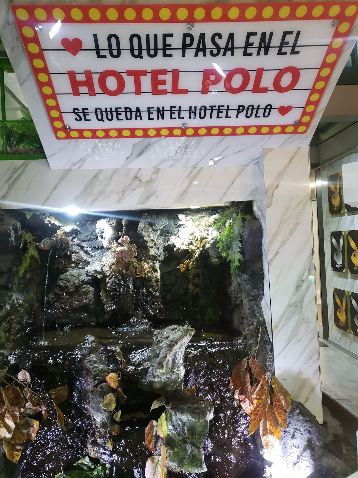 Hotel Polo gallery 2