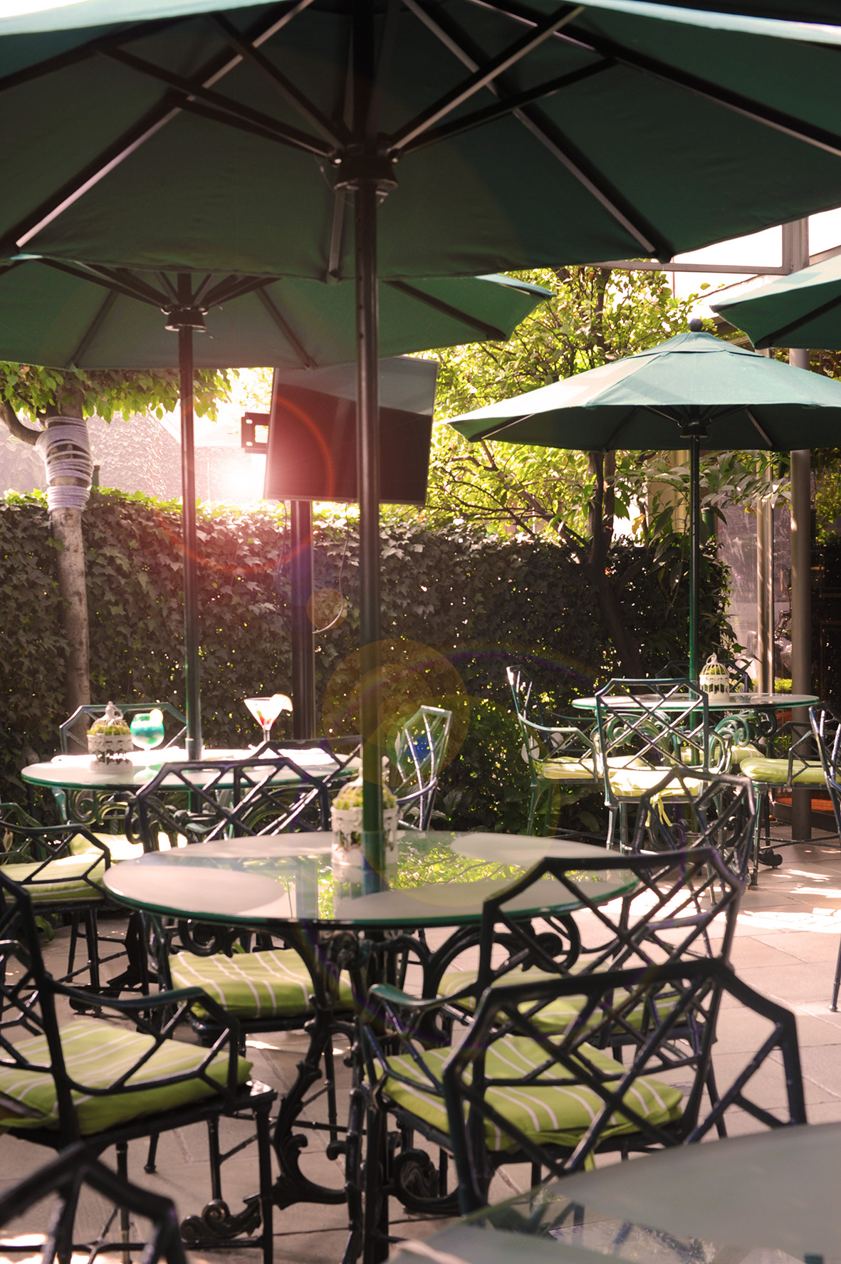 Hotel Beverly gallery 7