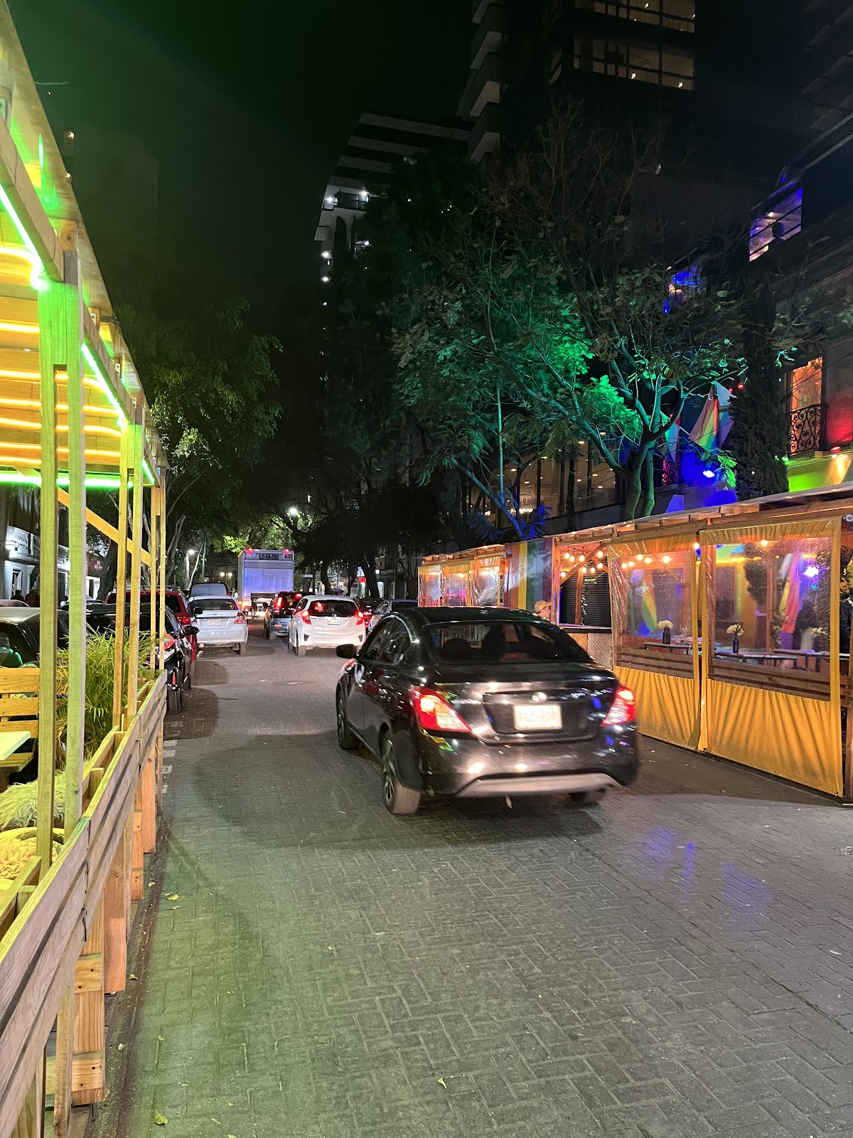 ZONA ROSA CDMX gallery 6