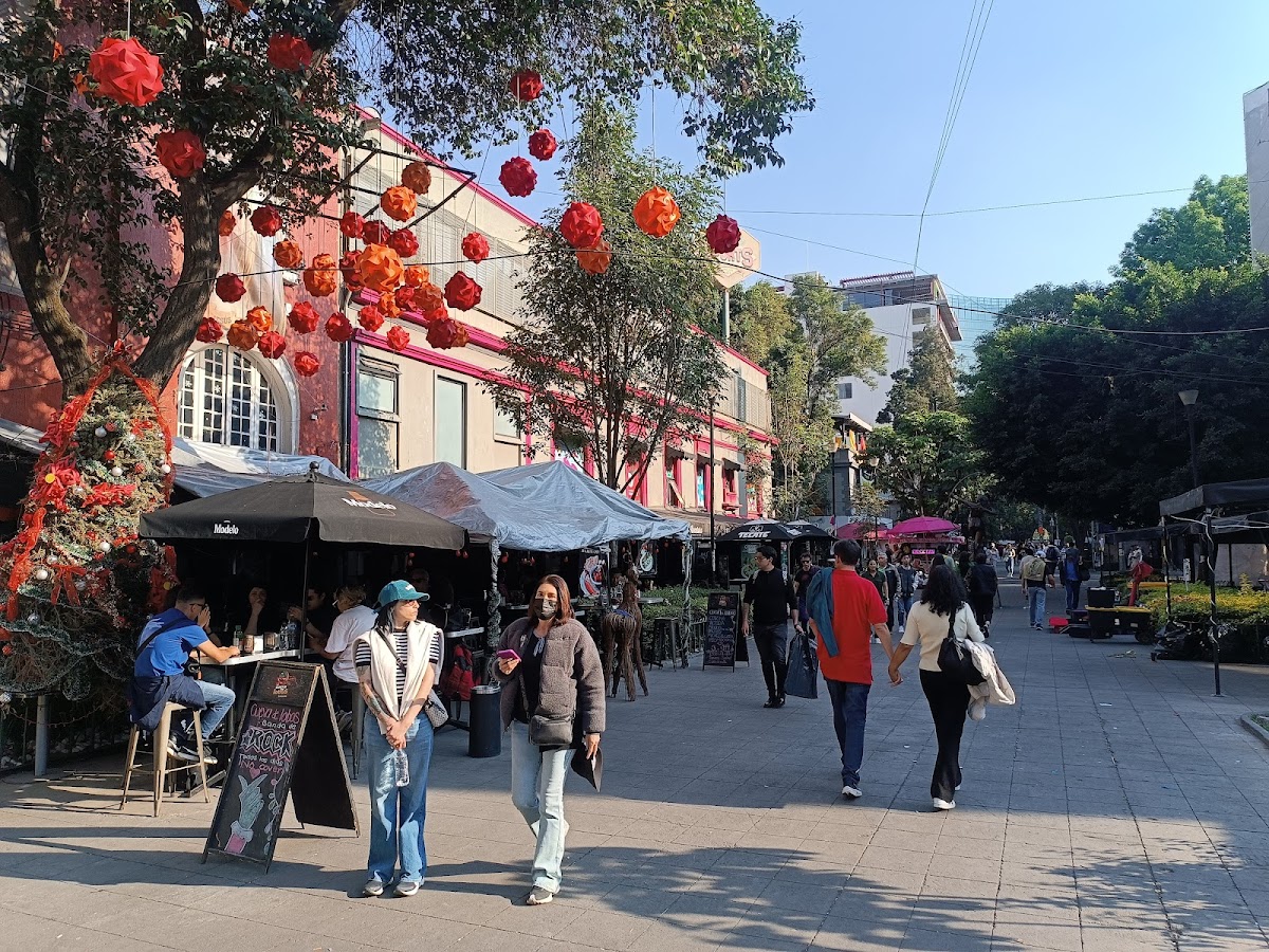 ZONA ROSA CDMX gallery 7