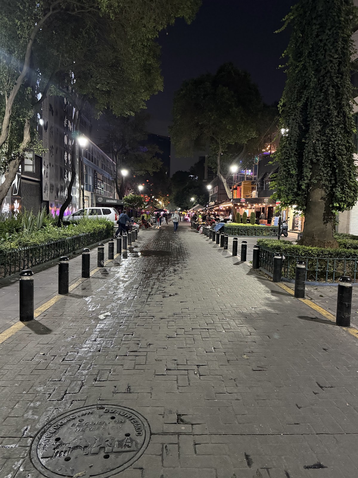 ZONA ROSA CDMX gallery 9