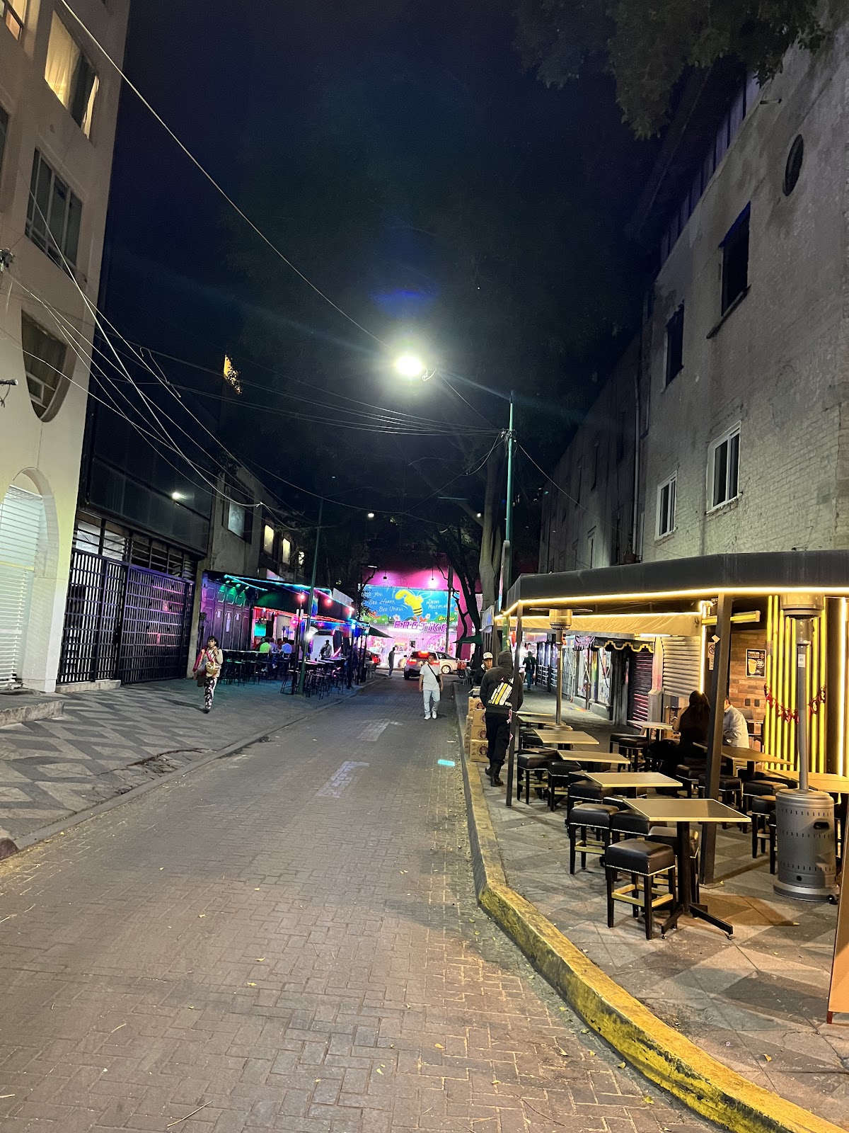 ZONA ROSA CDMX gallery 10