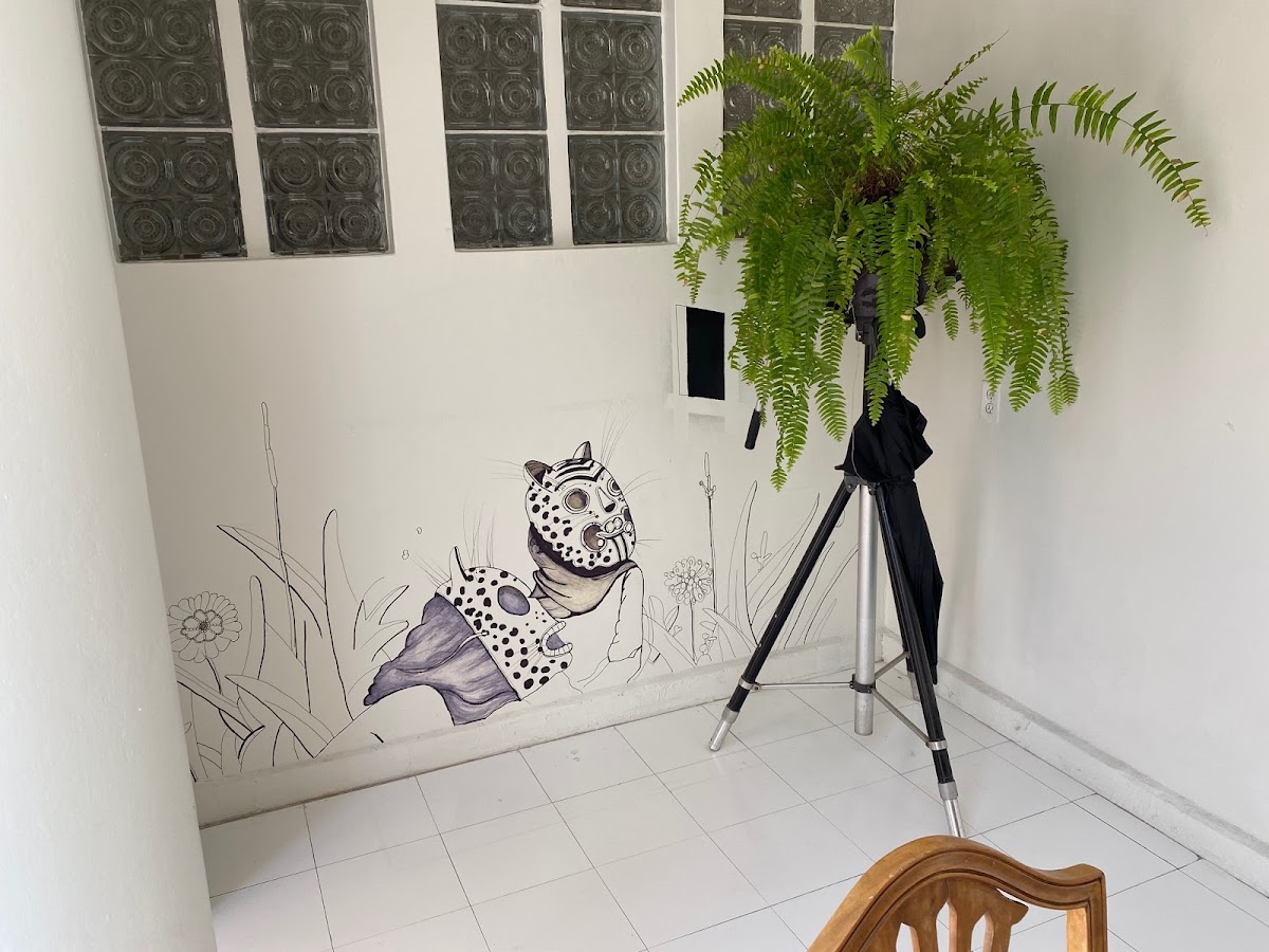 Casa Amores 911 gallery 9