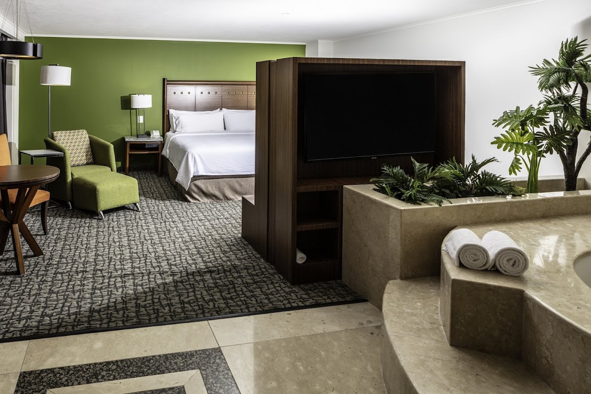 Holiday Inn Ciudad de Mexico-Trade Center by IHG gallery 4