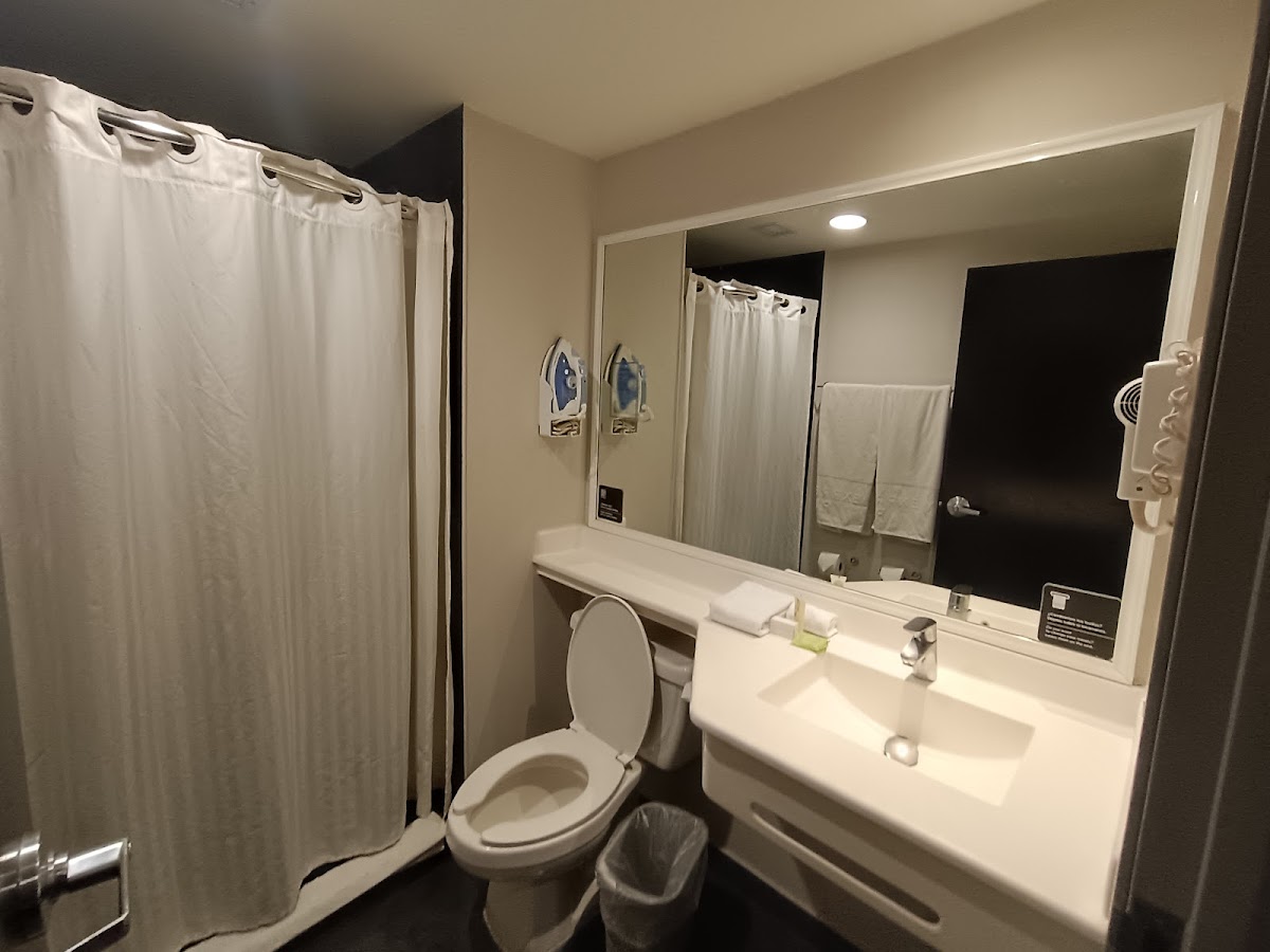 City Express Plus by Marriott Insurgentes Sur gallery 3