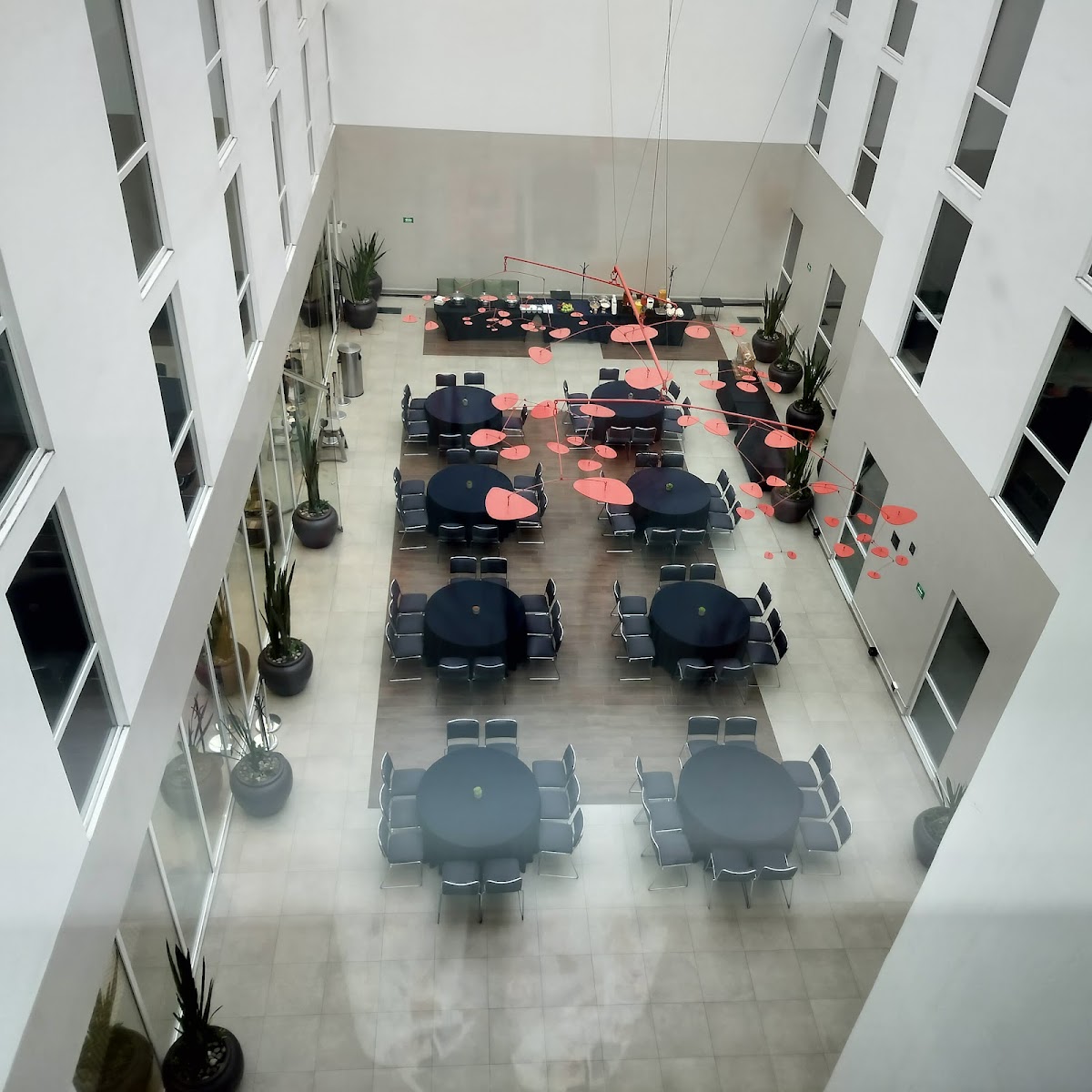 City Express Plus by Marriott Insurgentes Sur gallery 10