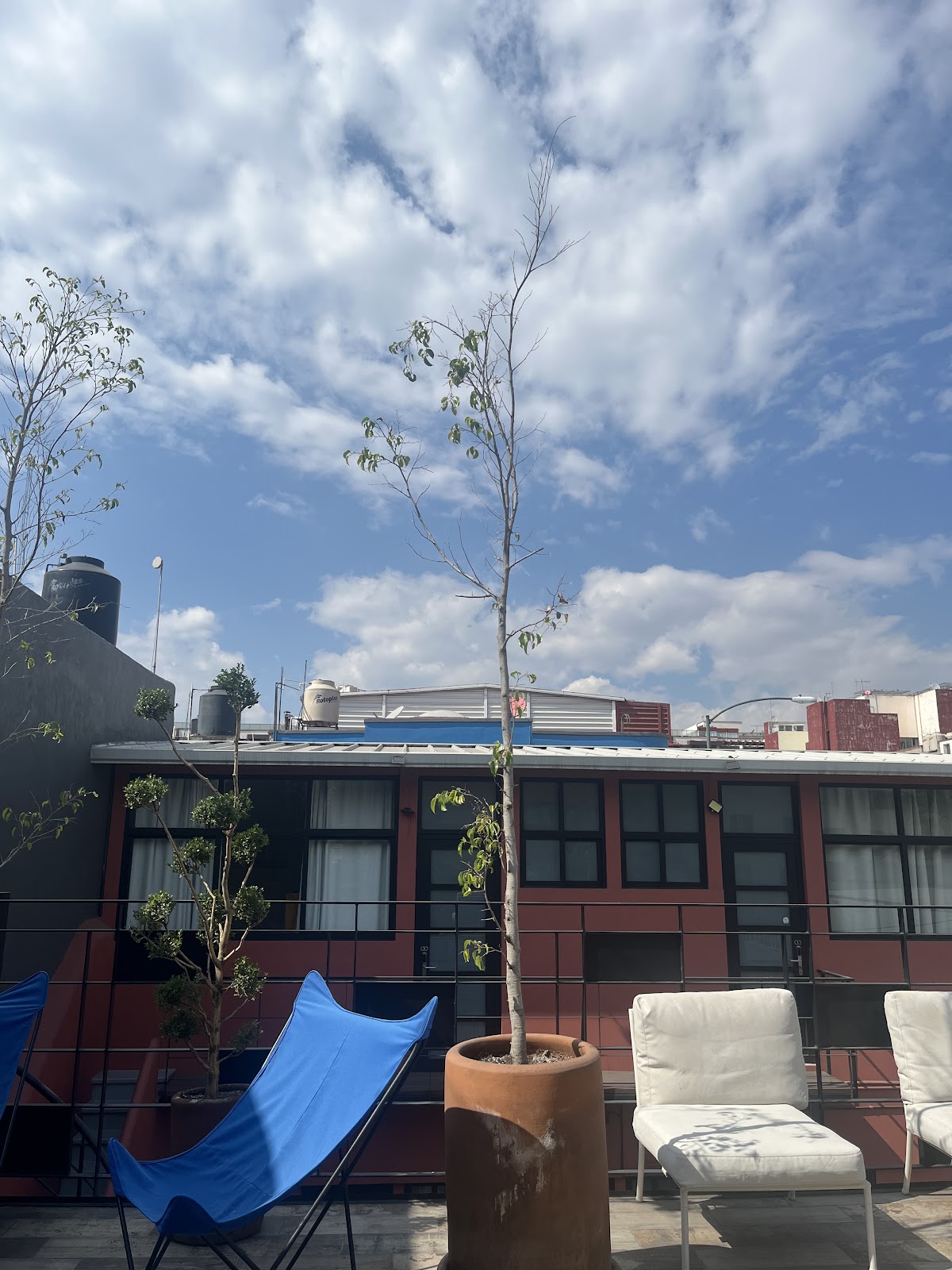 Covive: Coliving CDMX - Casa Del Valle Norte gallery 7