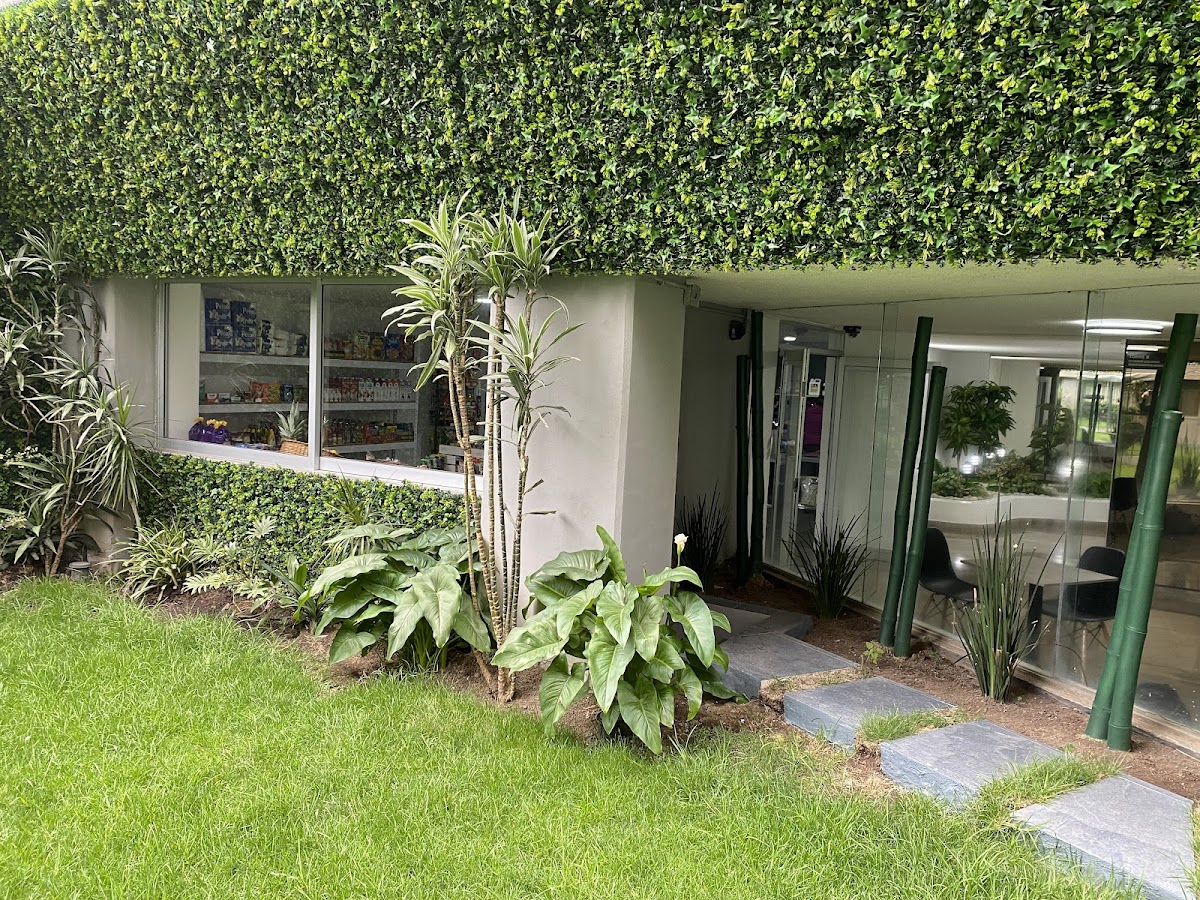 Torres Gemelas Renee gallery 8