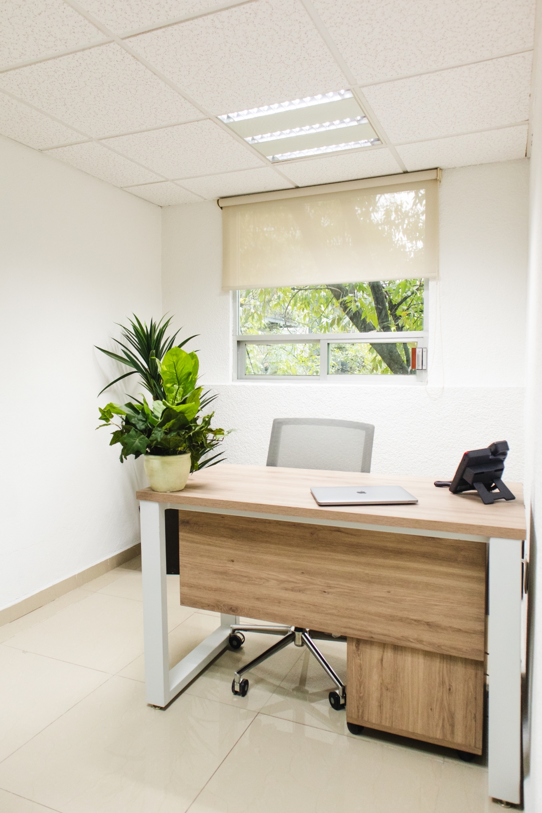 OfiRent Renta de Oficinas Col. Del Valle gallery 2