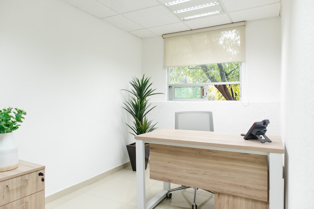 OfiRent Renta de Oficinas Col. Del Valle gallery 5