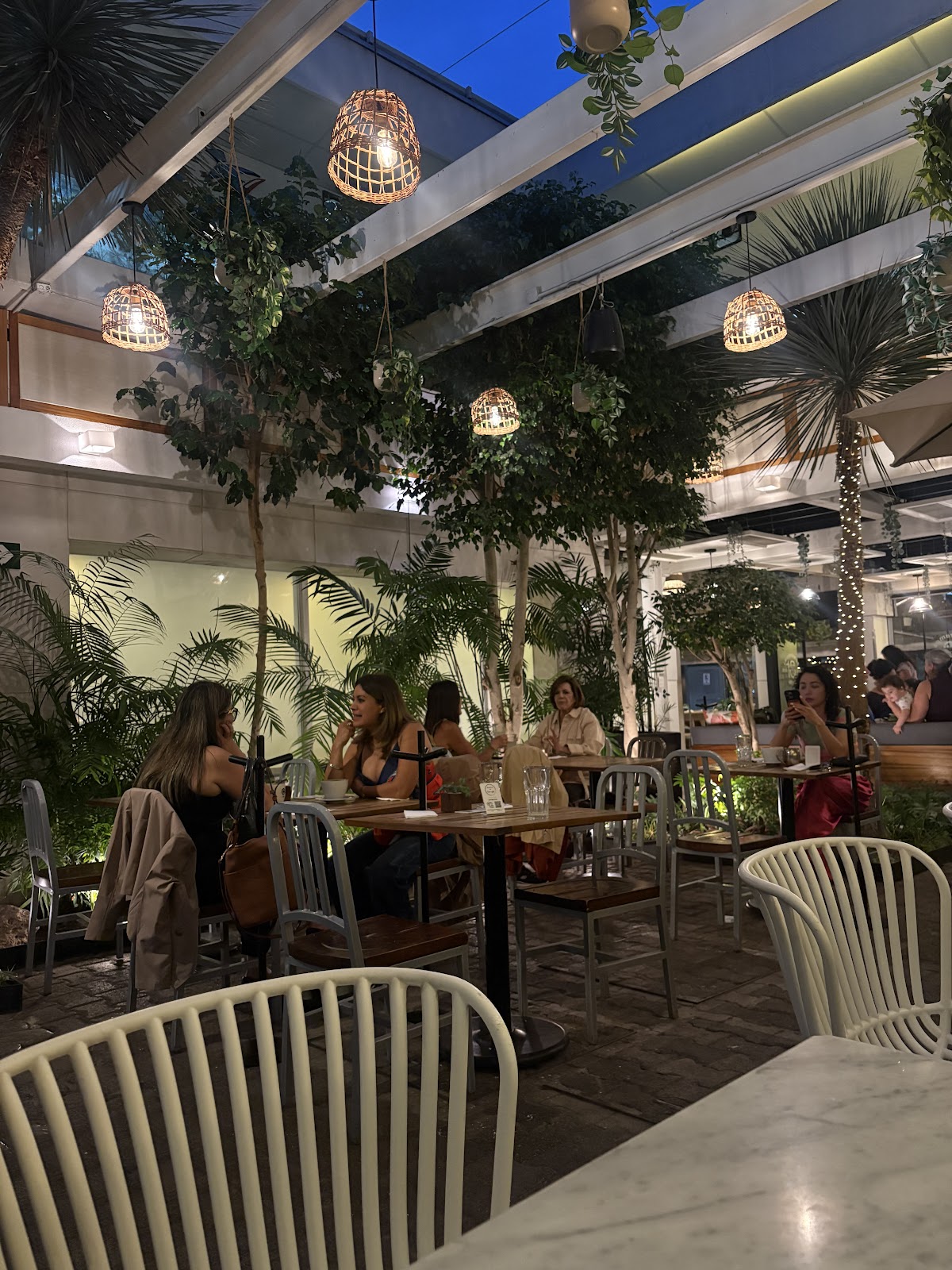 Café C - Del Valle gallery 5