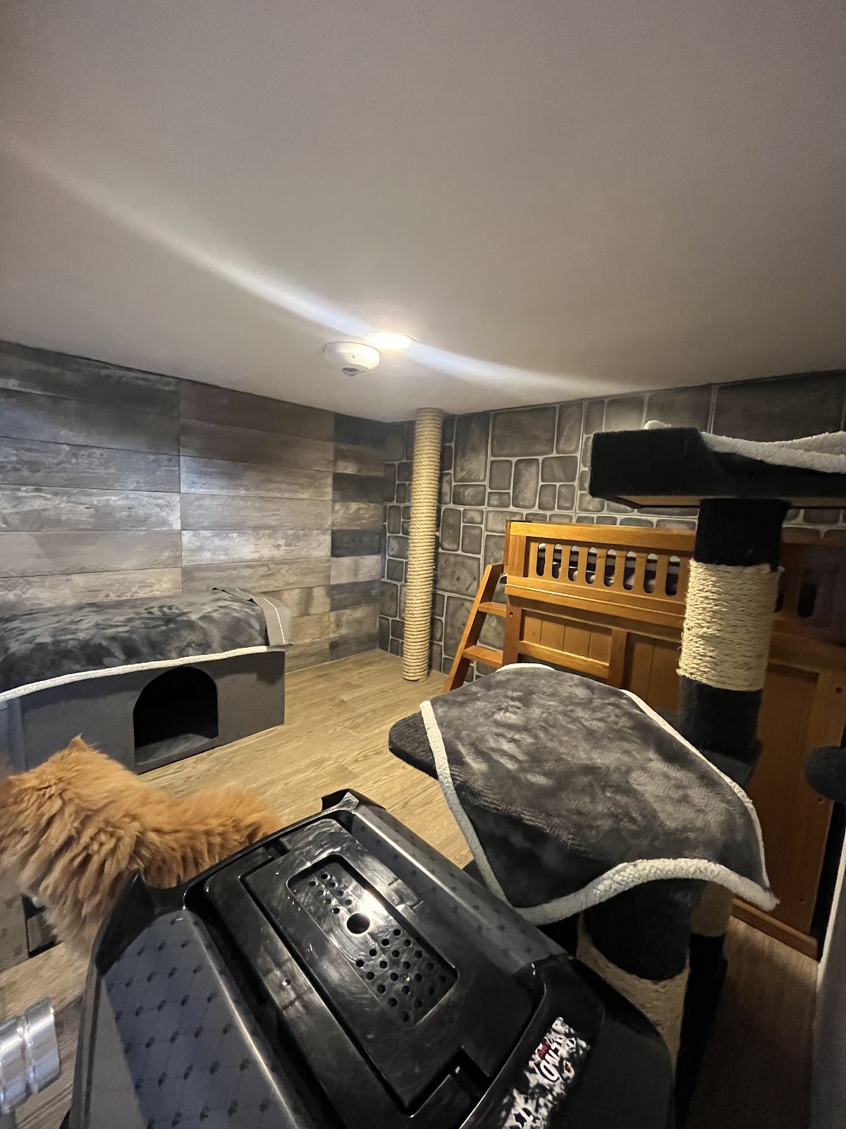 The Paw Hotel by Pawerful gallery 3
