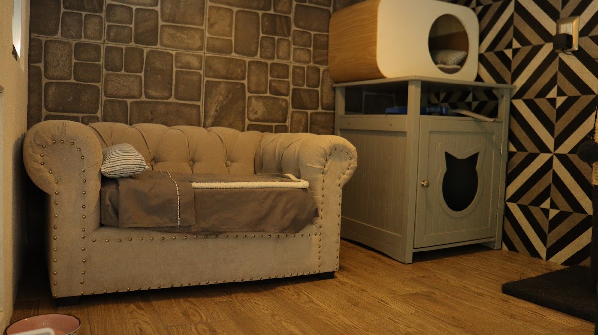 The Paw Hotel by Pawerful gallery 4