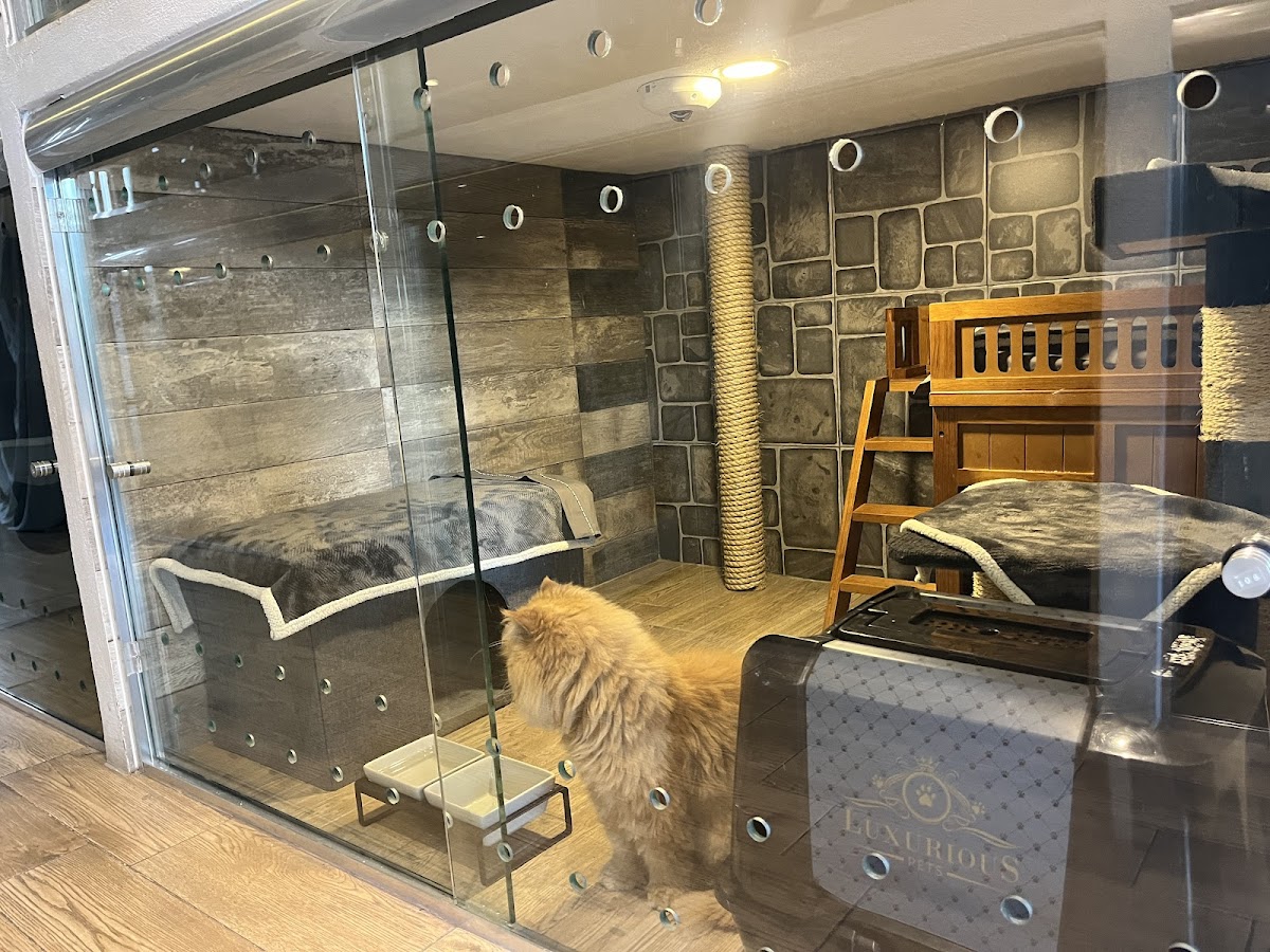 The Paw Hotel by Pawerful gallery 6