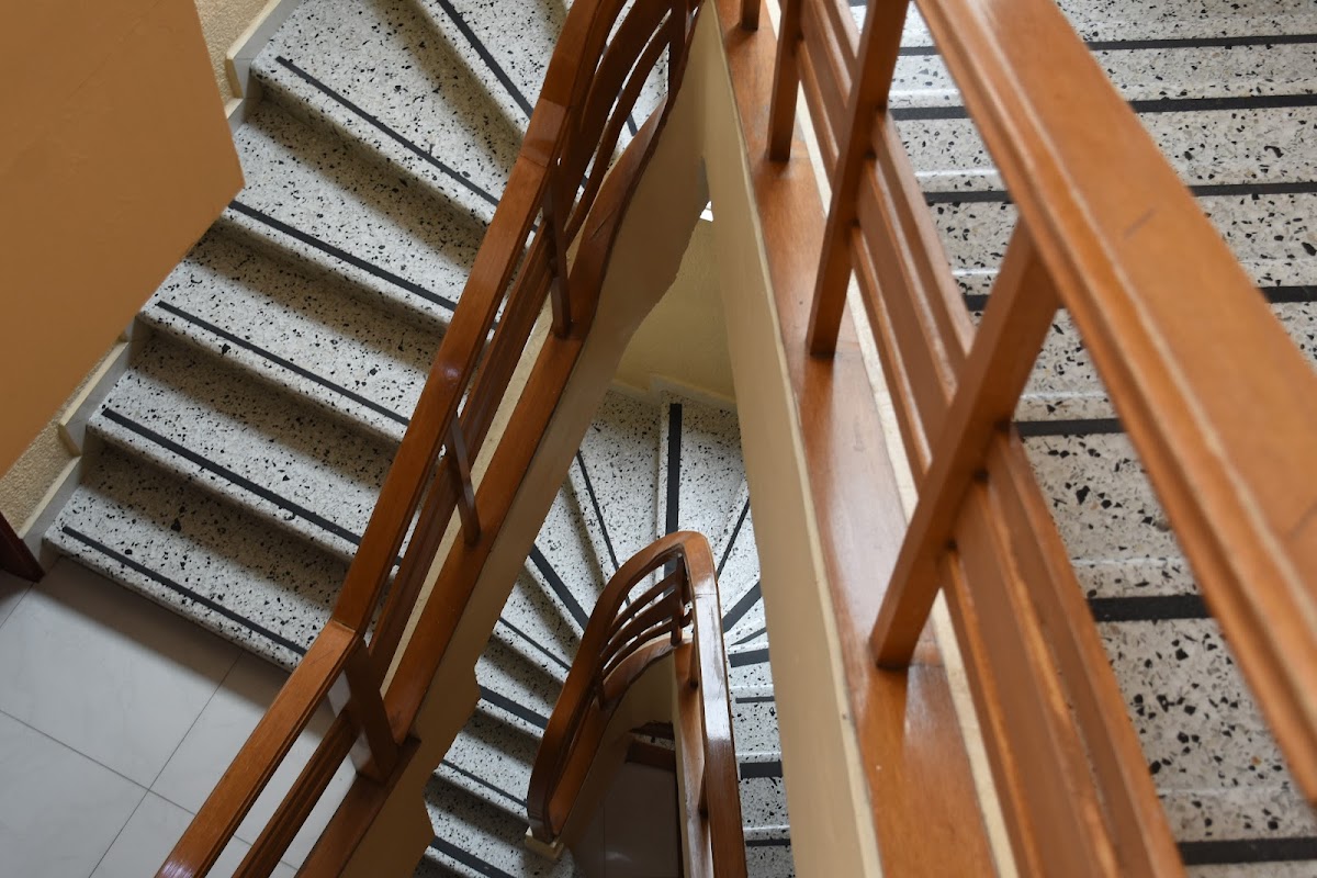 Hotel Jalisco gallery 6