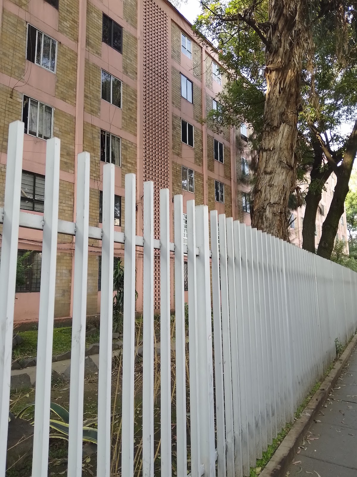 Unidad Habitacional Narvarte IMSS gallery 3