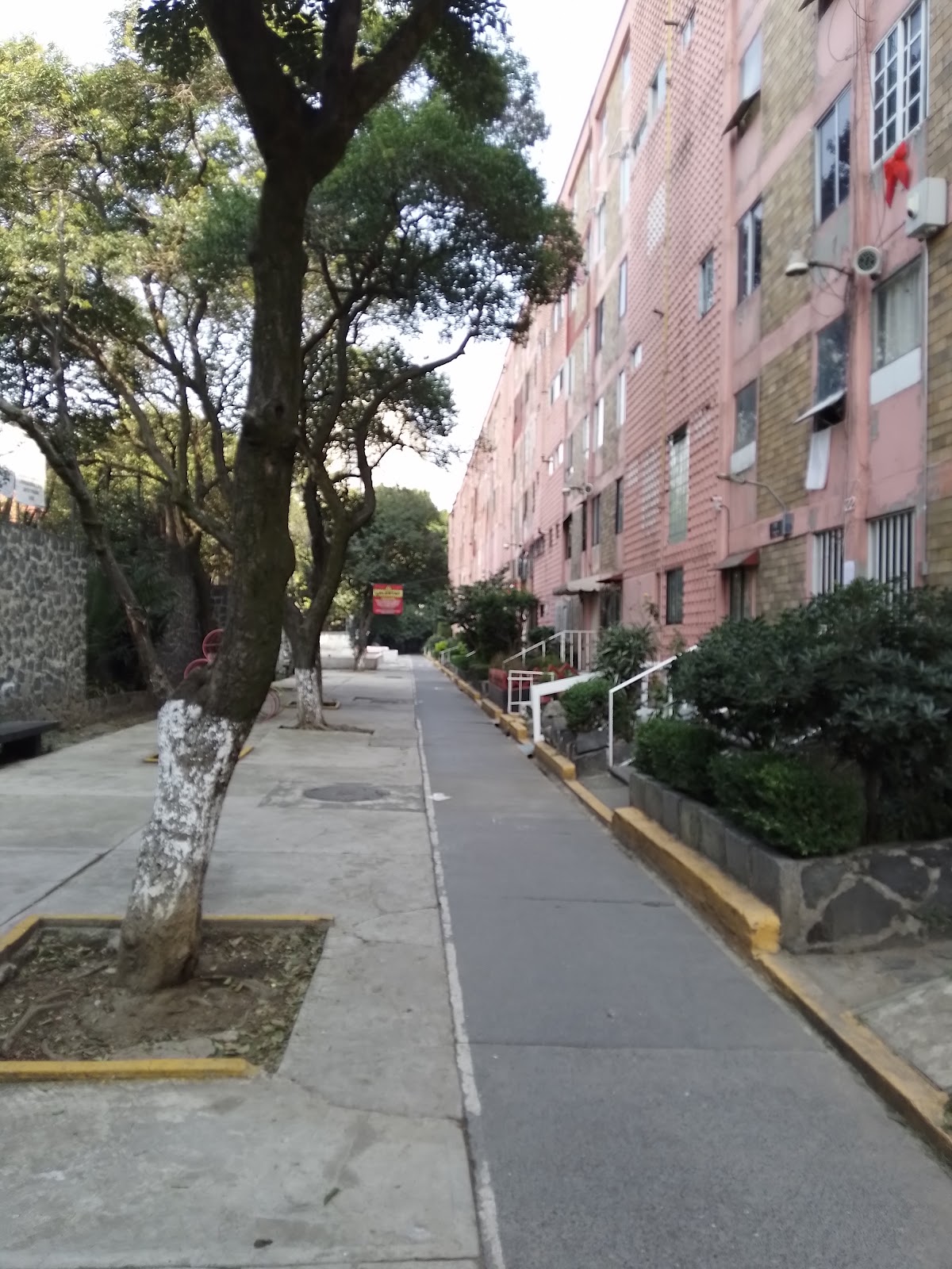 Unidad Habitacional Narvarte IMSS gallery 9