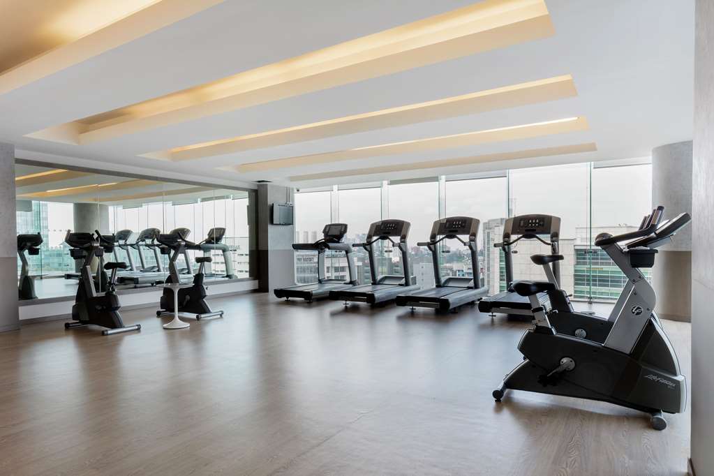 Hilton Garden Inn Mexico City Santa Fe gallery 5