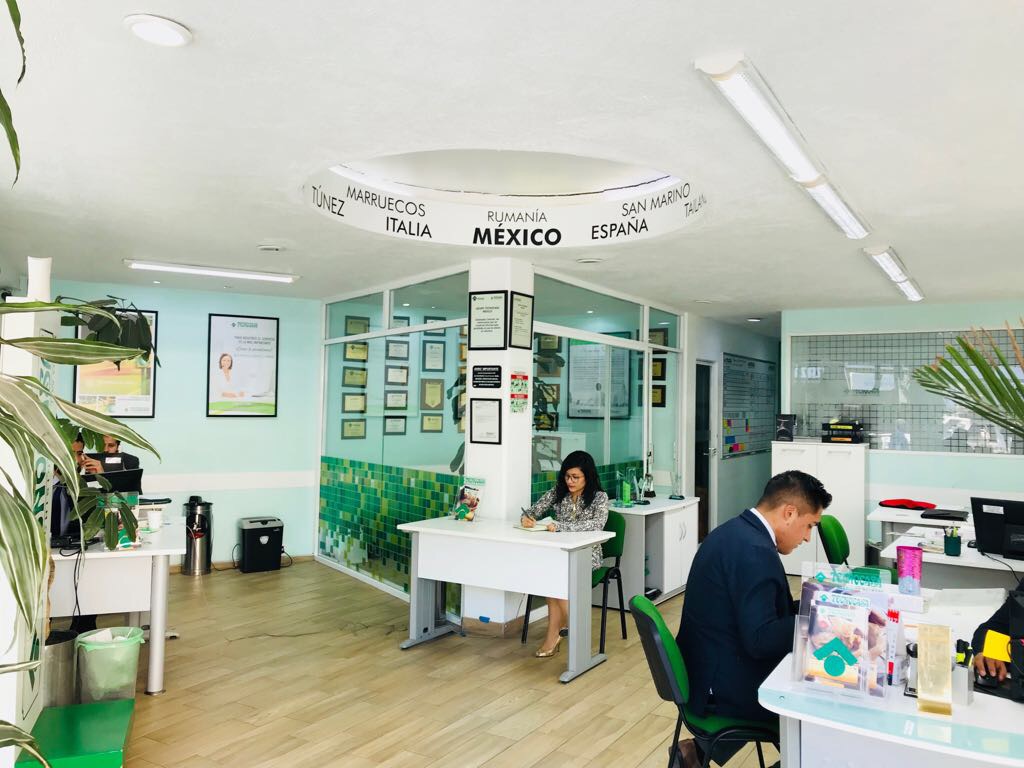 TECNOCASA NARVARTE gallery 4