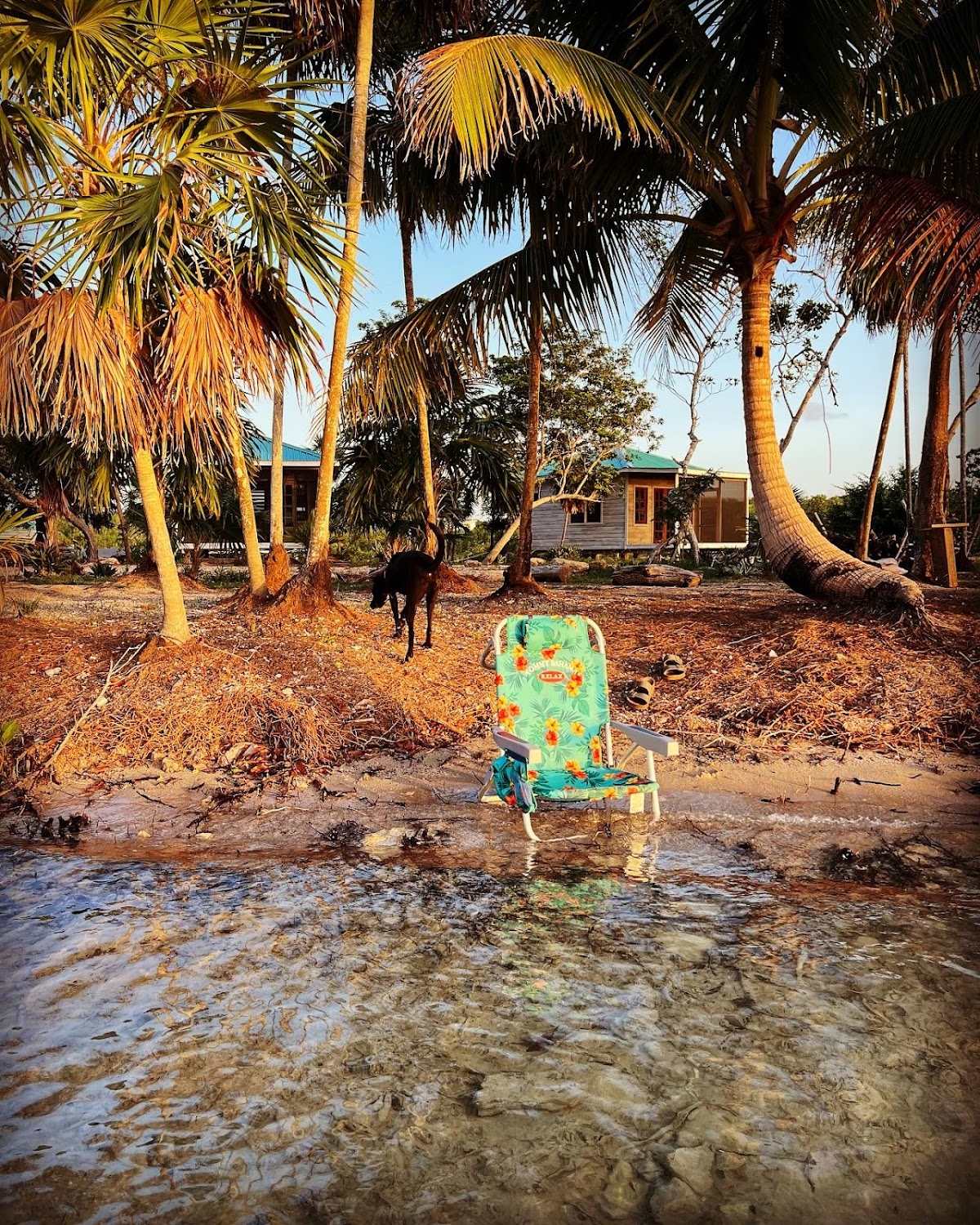 Belizima Eco Resort gallery 7