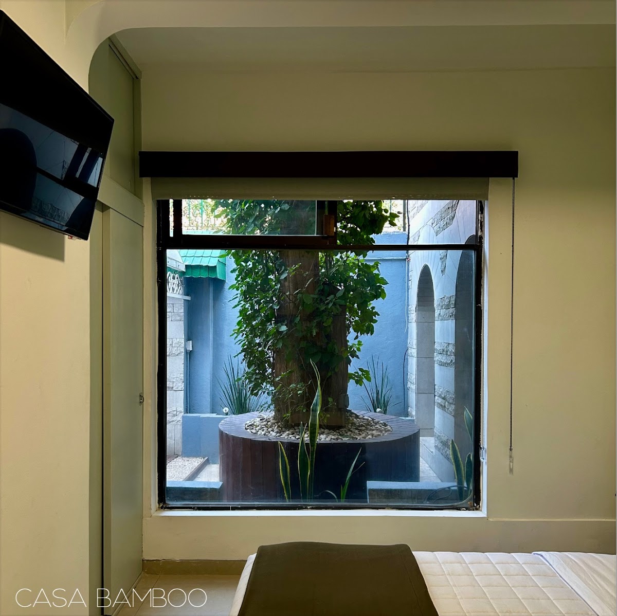Casa Bamboo gallery 8