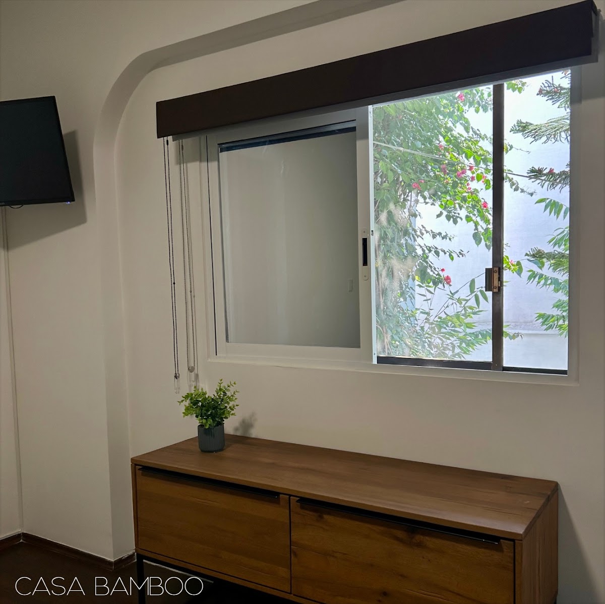 Casa Bamboo gallery 10