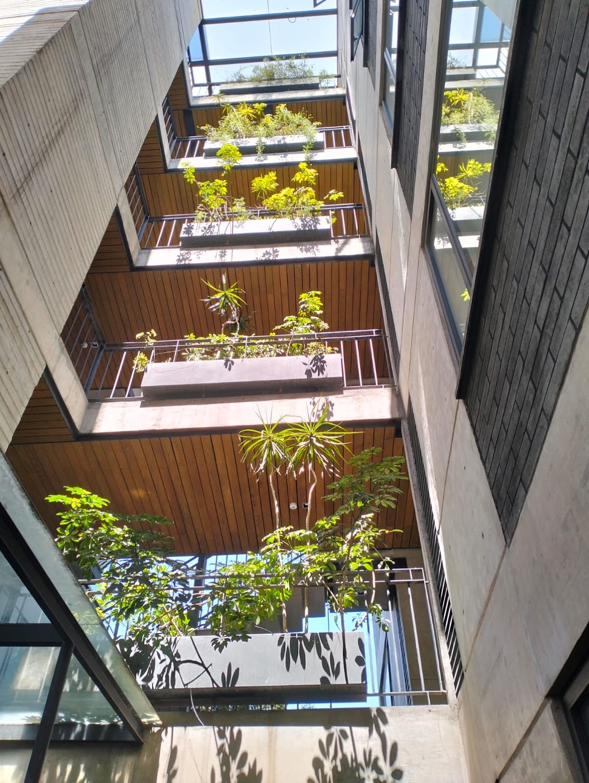 URBAN Escandón gallery 9