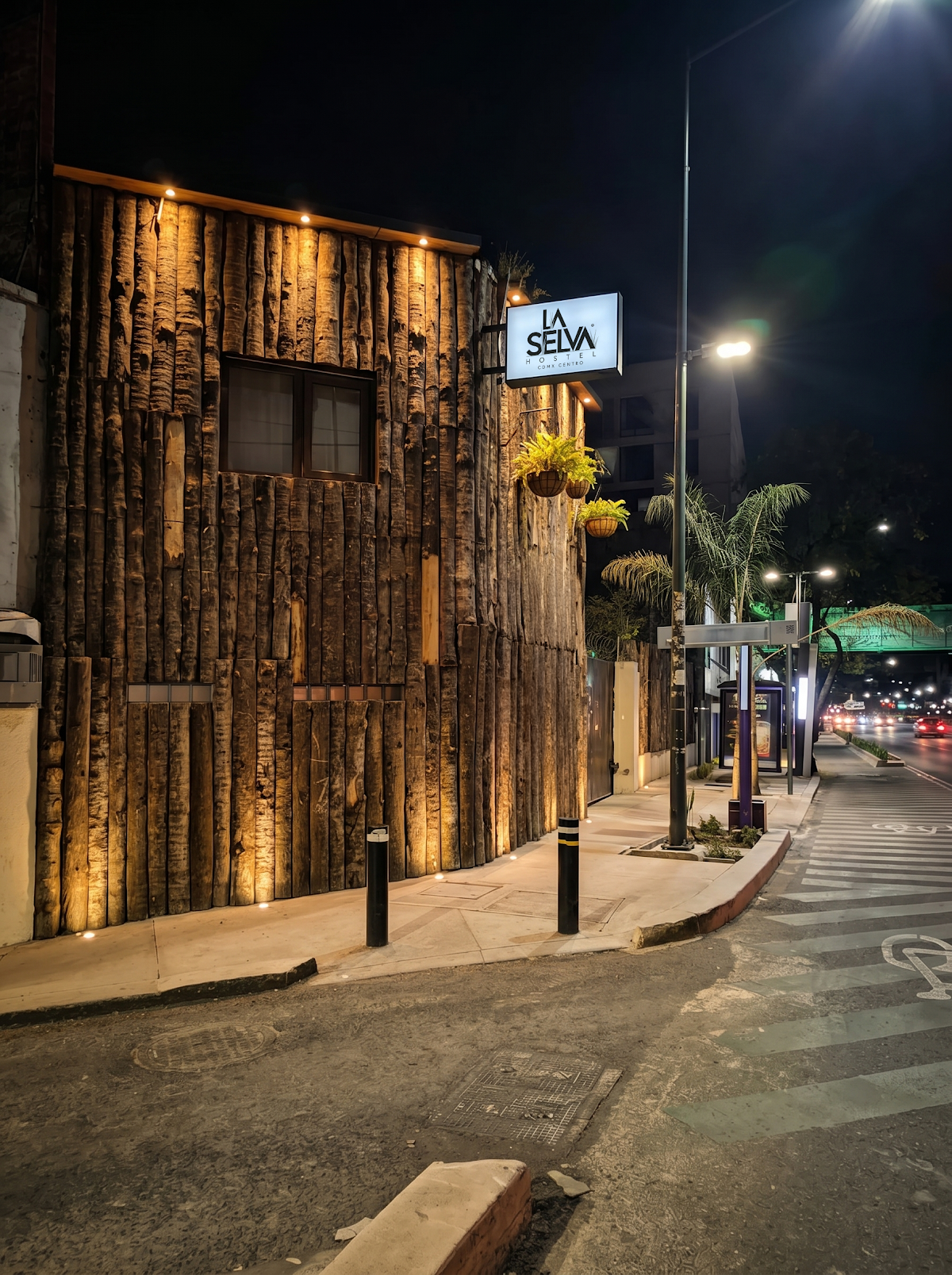 La Selva Hostel gallery 7