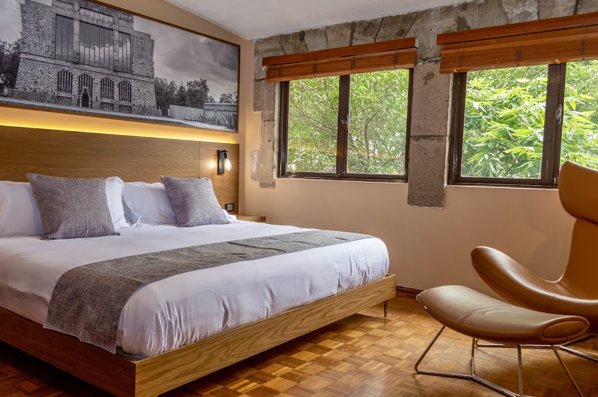 Mi Zona Lodging Coyoacán gallery 4