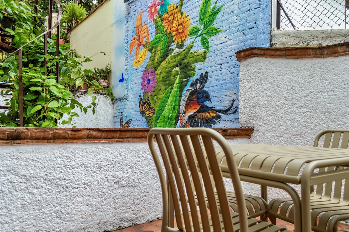 Mi Zona Lodging Coyoacán gallery 5