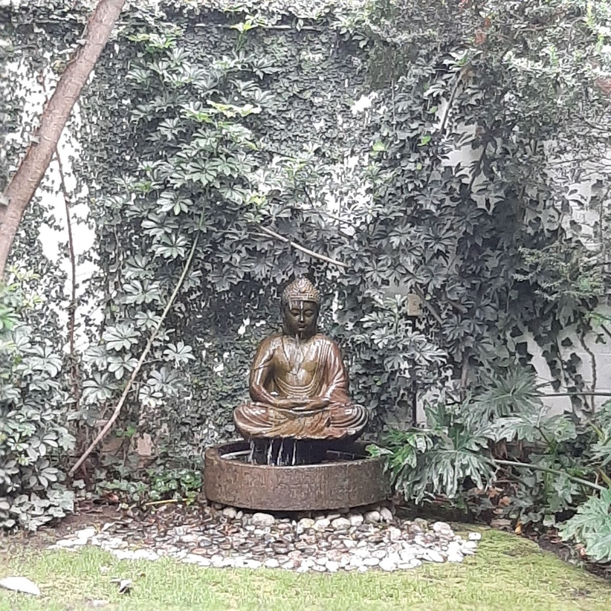 Coyoacan City Lofts gallery 7