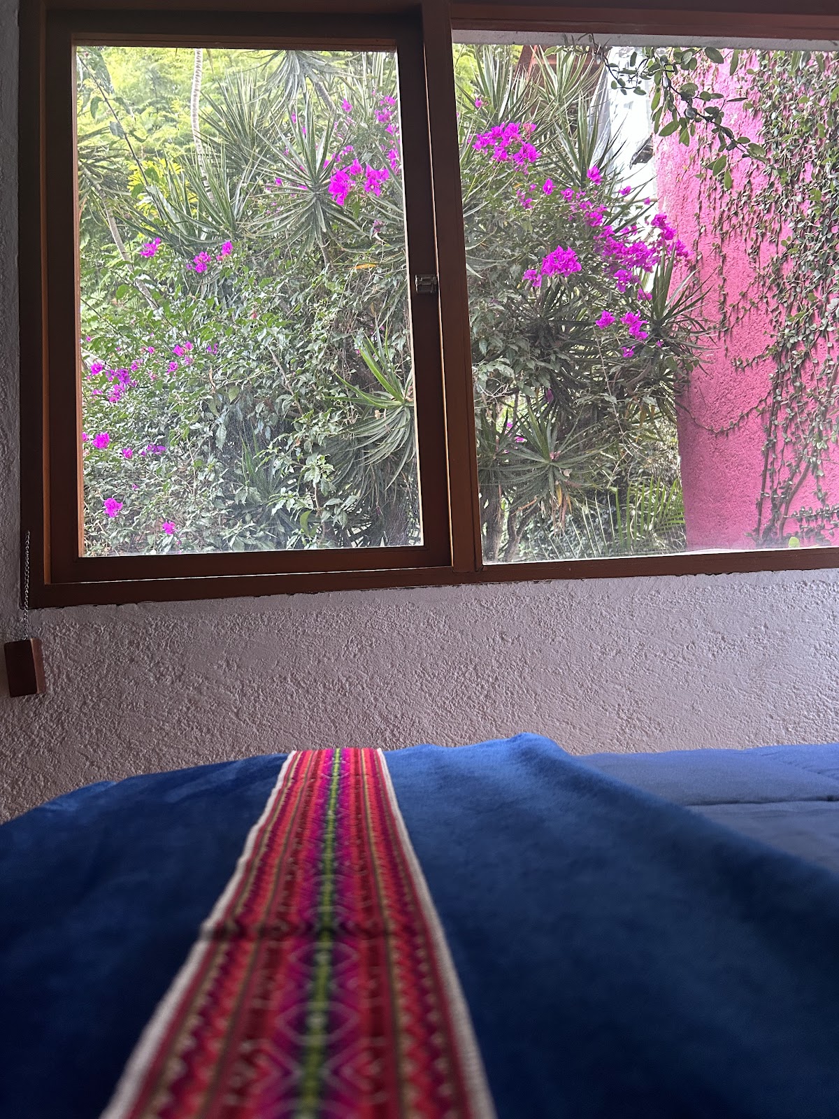 Casa Frida Coyoacan gallery 6