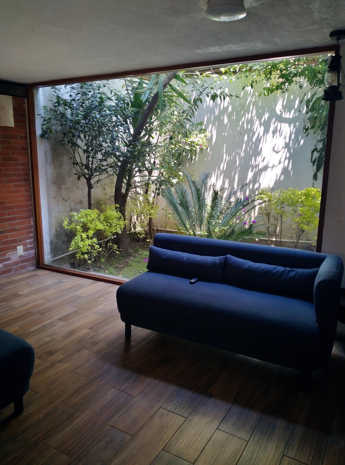 Casa Frida Coyoacan gallery 7