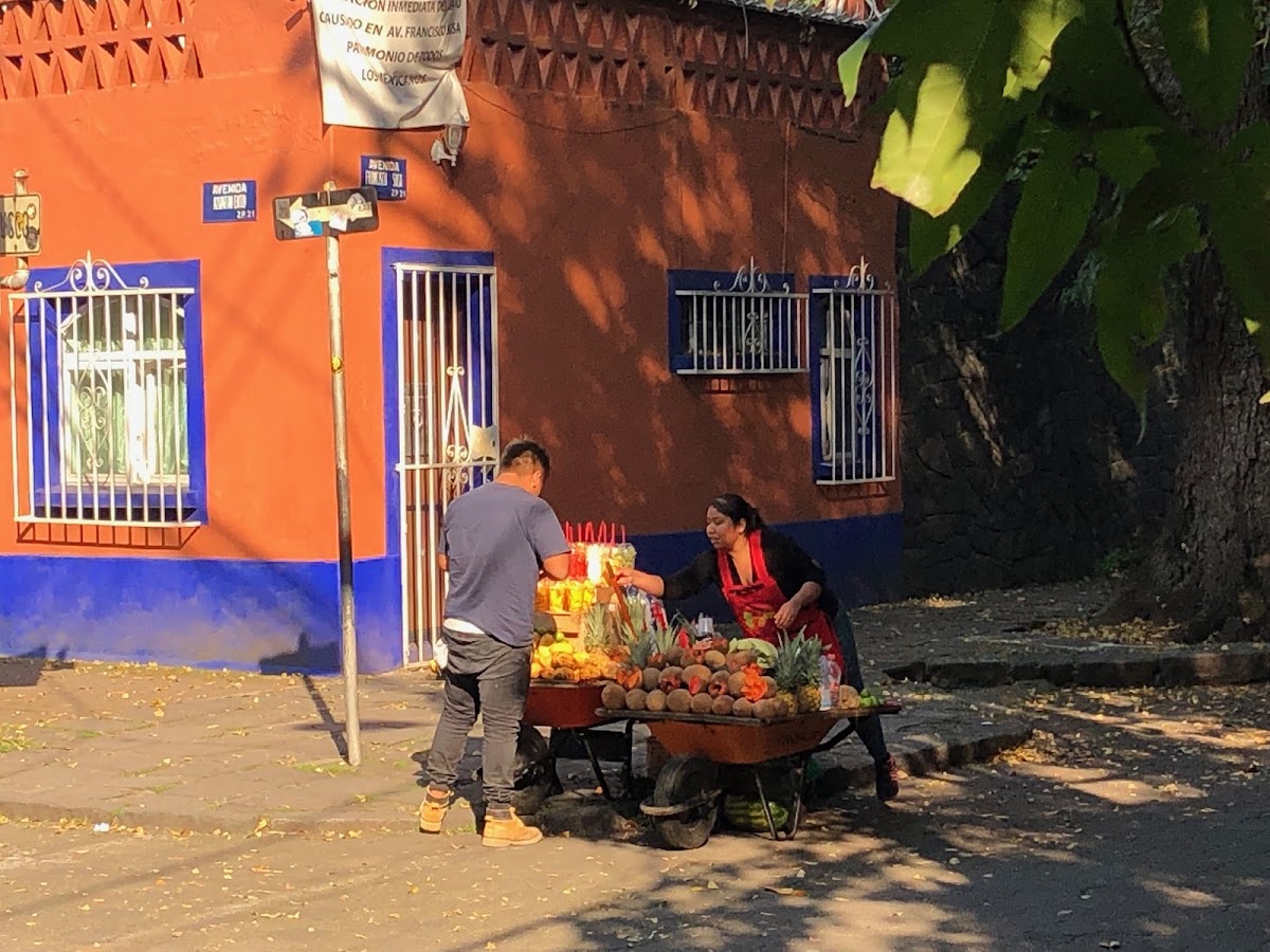 Villas Sol Y Luna Coyoacan gallery 4