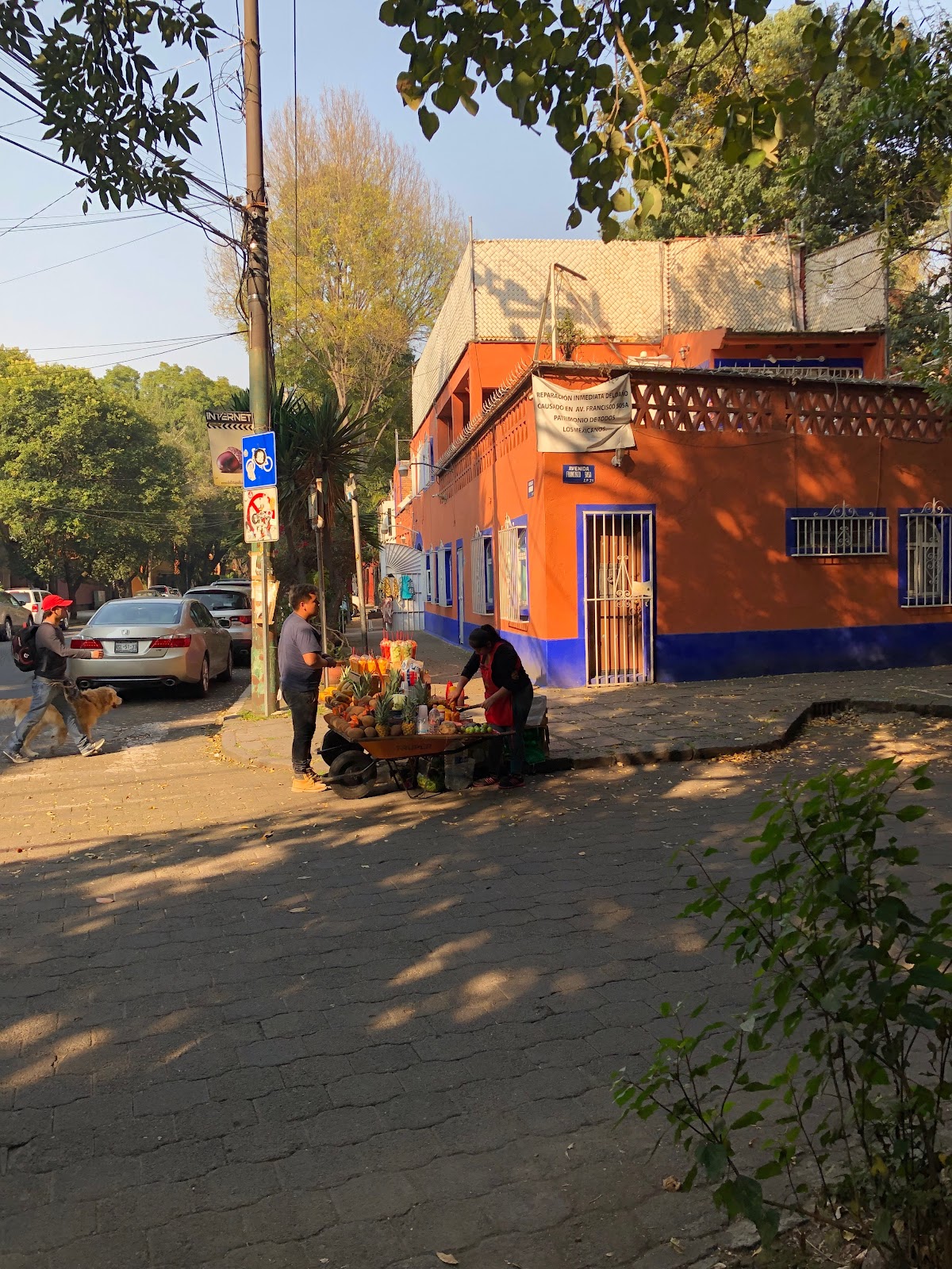 Villas Sol Y Luna Coyoacan gallery 5