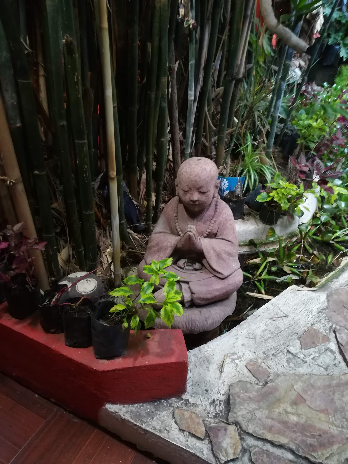 Mi Aldea Holistica gallery 7