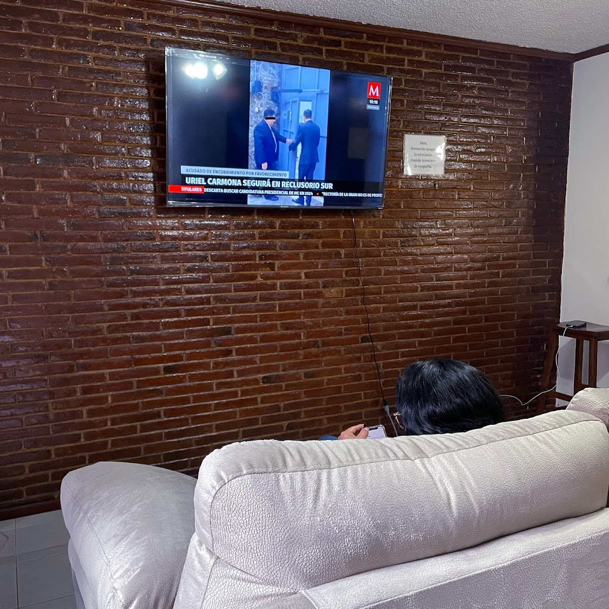 Living - Coyoacán gallery 6