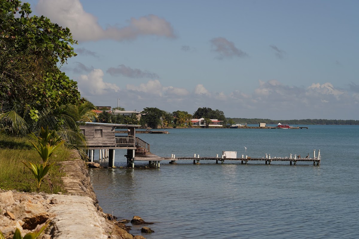 BlueBelize gallery 9