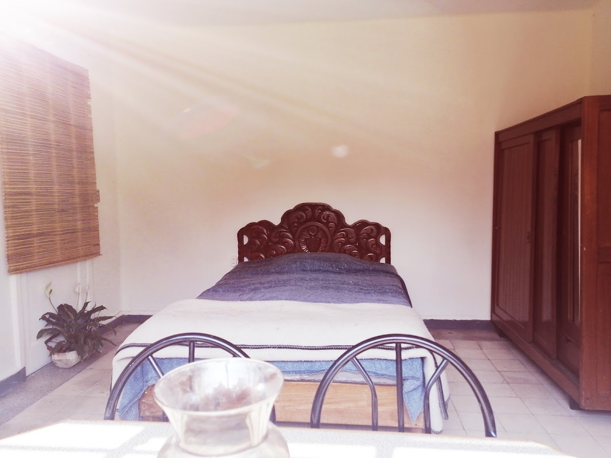 Casa Tona Coyoacán gallery 2