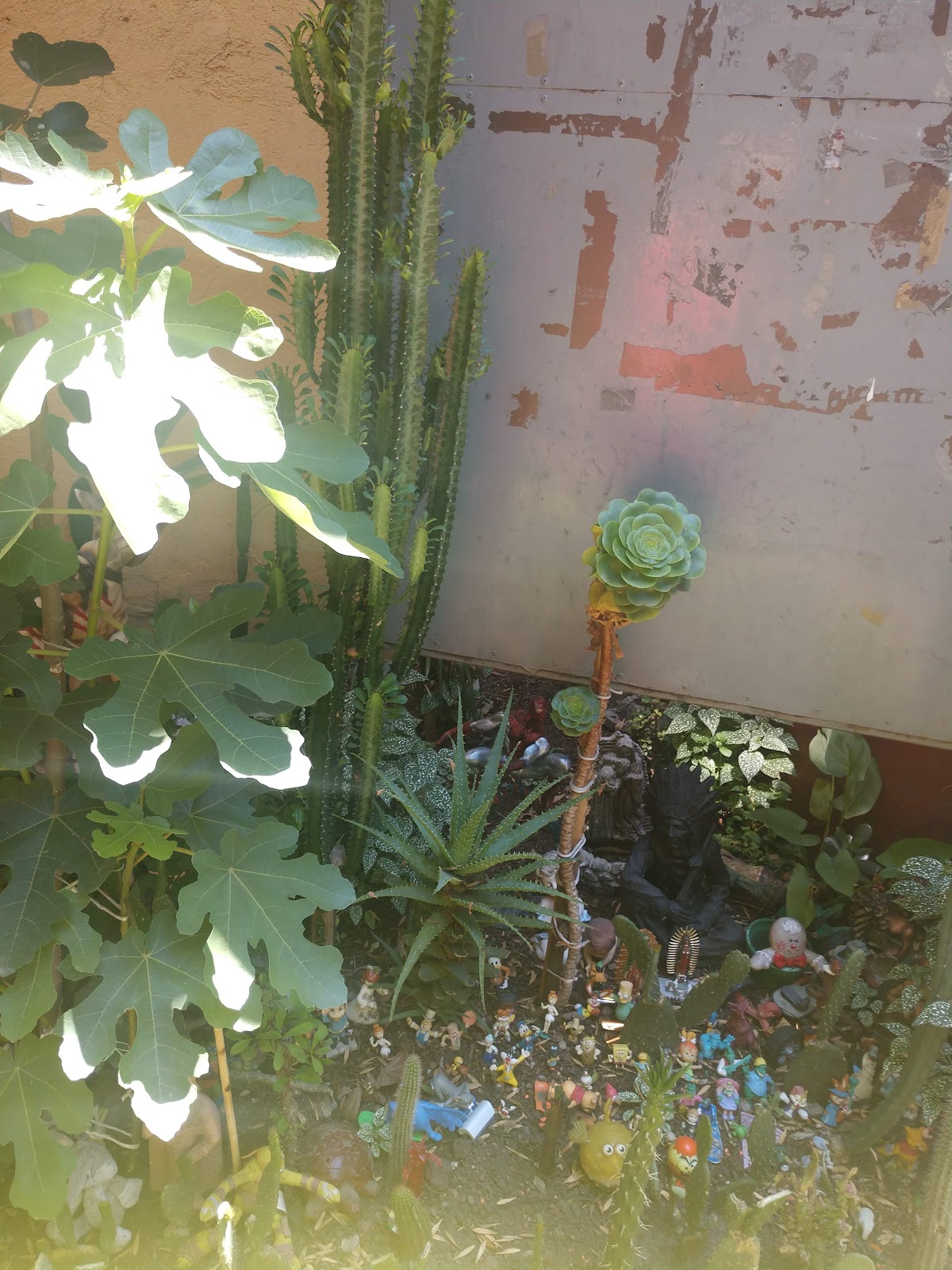 Progreso Coyoacán gallery 3