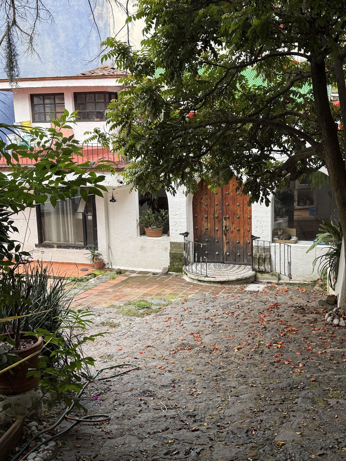 Casa Snichimal CDMX gallery 5