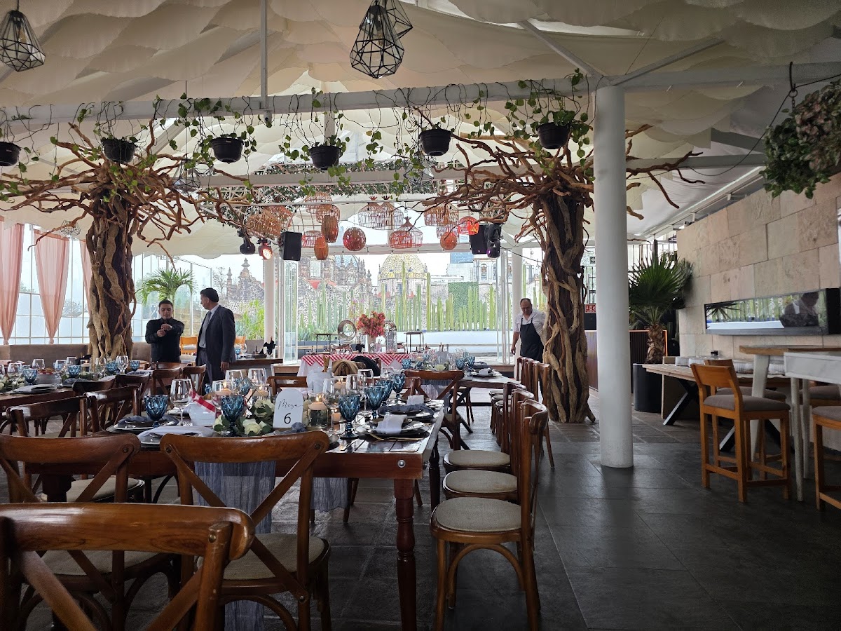 Terraza de Eventos Azul Maguey San Angel cover