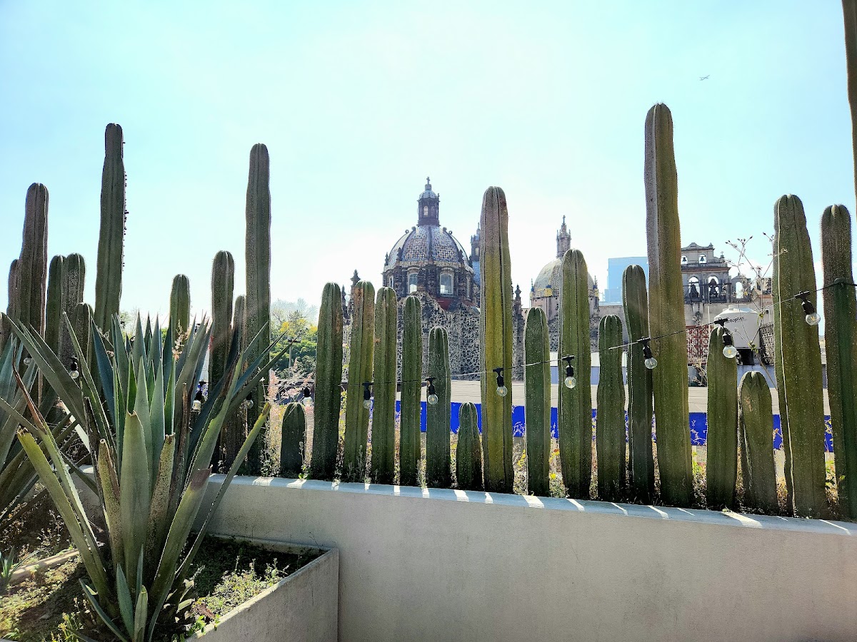Terraza de Eventos Azul Maguey San Angel gallery 9